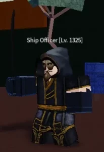 Ship Officer